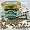 French Dried Peppercorns - Green - 1 x 0.70 oz