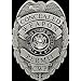 Concealed Weapon Permit Gun Metal Badge