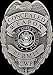 Concealed Weapon Permit Gun Metal Collectible Badge