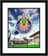 Chivas USA MLS Soccer Team Logo Framed 8x10 Photograph