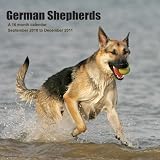 51bHbftDRaL. SL160  German Shepherd Calendar 2011