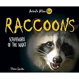 Raccoons: Scavengers of the Night (Animals After Dark)