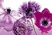 Empire 375360 Blumen - Purple Summer - Plakat Poster Druck - 91.5 x 61 cm