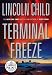Terminal Freeze (Random House Large Print (Cloth/Paper))