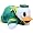 Oregon Ducks
