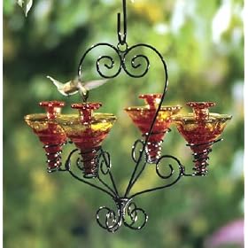 Parasol VIC4GLFR Hand Blown Glass Hummingbird Feeder Red Victoria Chandelier by 