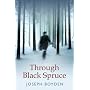 Through Black Spruce