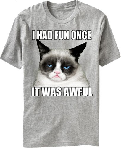 Grumpy Cat - I Had Fun Once, It Was Awful - T-shirt