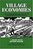 Village Economies: The Design, Estimation, and Use of Villagewide Economic Models