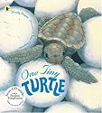 One Tiny Turtle [with audio cd]