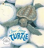 One Tiny Turtle (Nature Storybooks)