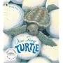 One Tiny Turtle (Nature Storybooks) (Nature Storybooks)