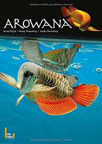 Asiatische Arowana By Sandra Wartenberg Bernd Degen Ronny Wartenberg Free Download Arthurdwfwf