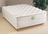 Pillowtop Mattresses