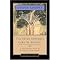 Meditation Books
