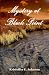 Search : Mystery at Black Point