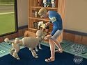 The Sims 2 Pets