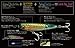 Yo-Zuri Sashimi 3D Squirt Lure, Chameleon Natural Glow, 7 1/2-Inch