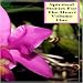 Spiritual Stories For The Heart - Volume 1