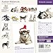 Alaskan Malamute 18 Month 2016 Wall Calendar