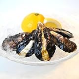 【ファームスズキ】塩田熟成　殻付き縞牡蠣15個　(30g～45g/1個)　【広島県大崎上島産】（オイスターナイフ・大崎上島産レモン・軍手・牡蠣剥き方説明書付）