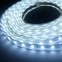 LED Tri-chip Crystal Ribbon White 12V(0.5M/reel), 2031WH