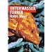 B�cher rund ums Tauchen