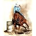 Rodeo Cowgirl Barrel Racing 1 Quality Art Poster Print - 20" X 16"