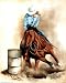 Rodeo Cowgirl Barrel Racing 1 Art Print POSTER quality - 20