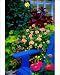 Photographic Prints of Garden designs from Danita Delimont