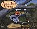 The Art of Jonathan Green 2009 Calendar