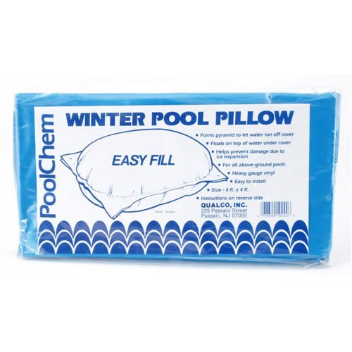 Winter Pool Pillow