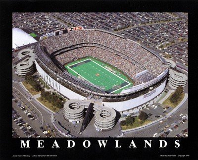 (22x28) Brad Geller New York Jets Old Meadowlands Stadium Sports Poster Print