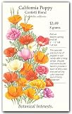 51bJwLOzHhL. SL160  California Poppy Confetti Blend Seed
