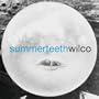 Summerteeth (2 LP 180g vinyl with bonus CD)