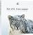 apple home