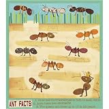 Oopsy Daisy Ants 16x18 Canvas Art Image Wrap
