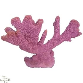 Nature`s Image Pocillopora: FUSHIA: 8in x 13 inch x 9in (Pocillopora eydouxi) Coral Reproduction by Nature`s Image