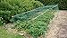 ALAZCO 4 Packs Garden Plant Netting Protect Protect Plants and Fruit Trees Against Rodents Birds Deer & Other Pests (Each 33-Ft x 6-Ft)