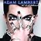 Adam Lambert Picture 1