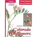 Guide to Colorado Wildflowers (Mountains) (Guide to Colorado Wildflowers. Vol 1. Plains and Foothills) (Revised) (Paperback)