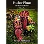 Pitcher Plants of the Old World: v. 2