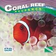 Coral Reef 2008 Square Wall Calendar by BrownTrout Publishing