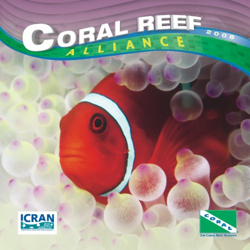 Coral Reef 2008 Square Wall Calendar