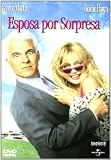 Housesitter [DVD] [1992]