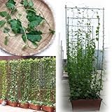 ���i�̏ڍ�