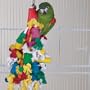MADCAP - Brainy Bird Wild Series Toys