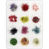 MASH Nail Art Real Dried Flower Kit Set