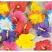 Silk Hibiscus Flowers