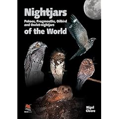 Nightjars of the World: Potoos, Frogmouths, Oilbird, and Owlet-nightjars